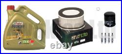 Service Kit Filters Iridium Plugs Castrol Oil for Yamaha FZS1000 Fazer 2001-2005