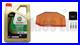 Service-Kit-Filters-Plugs-Castrol-Ultimate-Oil-Triumph-Speed-Triple-1050-R-12-15-01-euu