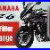 Yamaha-Fz6-Air-Filter-Change-How-To-Motorcycle-01-skr