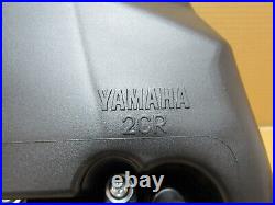 Yamaha YZF-R1 60th Anniversary 2016 airbox Genich (5954)
